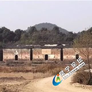 3245.jpg
