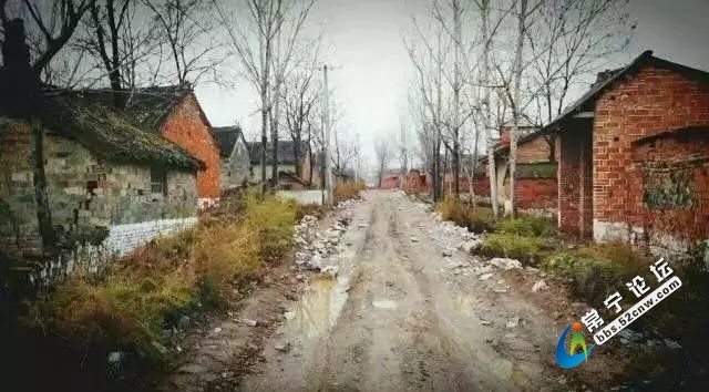 3340.jpg