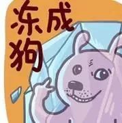 5767.jpg