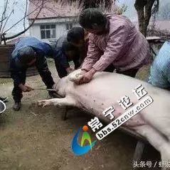 5893.jpg
