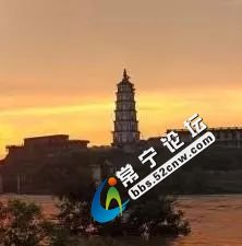 6542.jpg