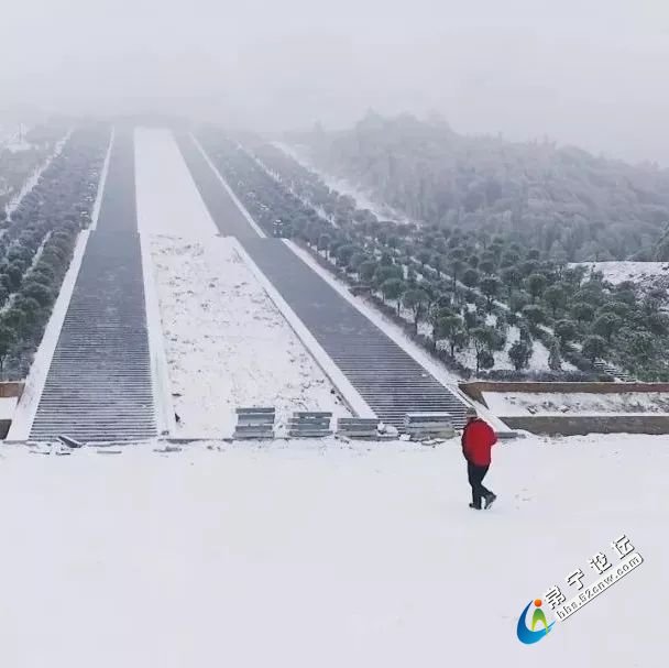 6627.jpg